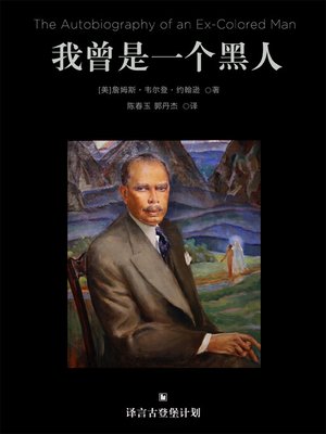cover image of 我曾是一个黑人